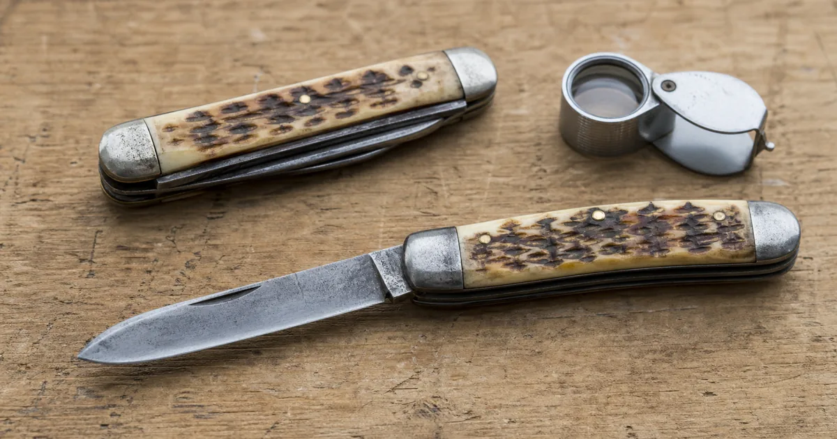 Vintage Case XX pocket knives with bone and wood handles displayed for identification Vintage Case XX pocket knives with bone and wood handles displayed for identification