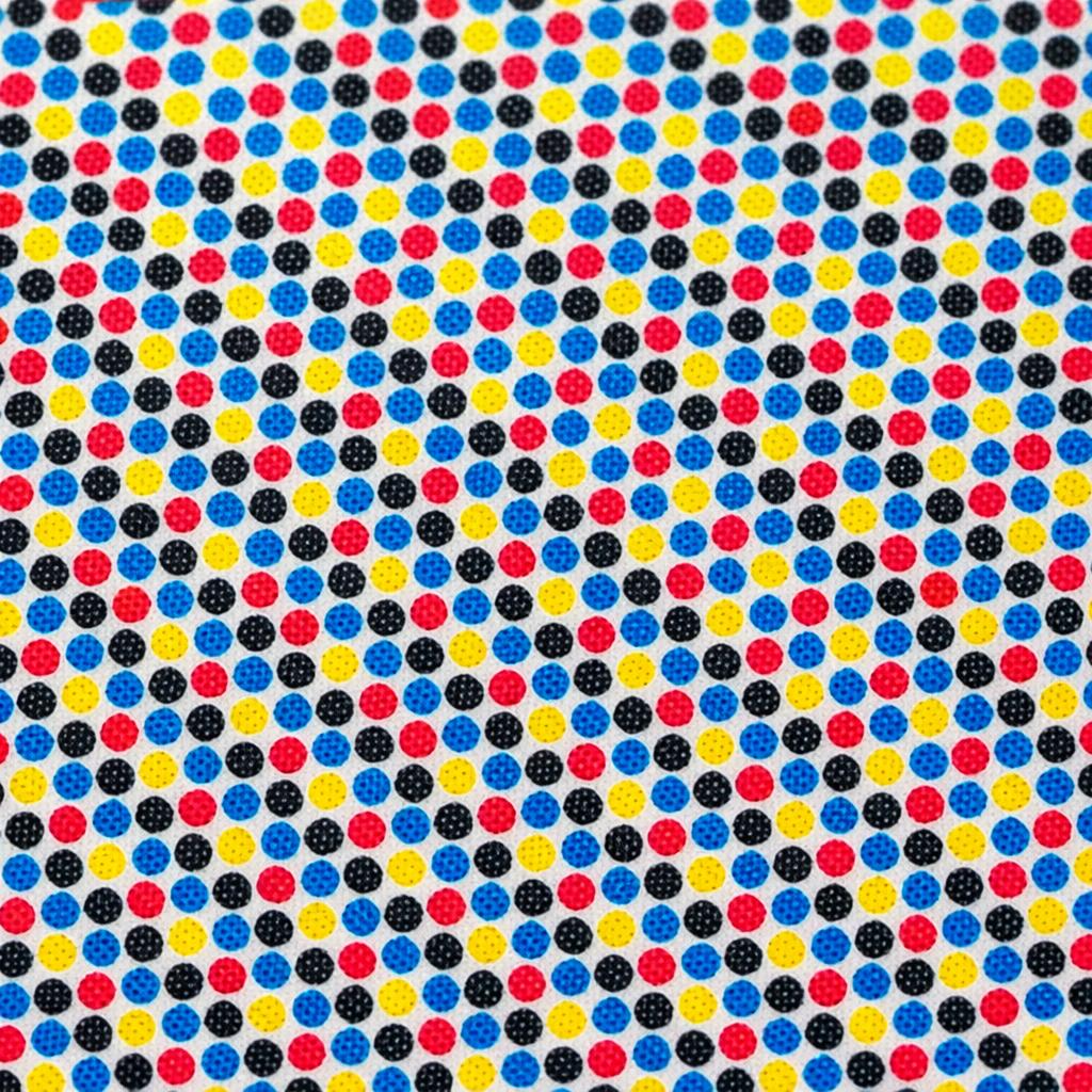 Macro view of a giclée print surface showing flat smooth ink dots with visible halftone pattern under even lighting
