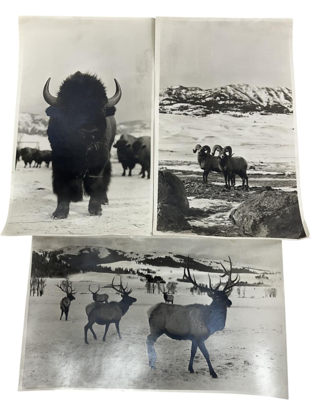 Supporting editorial image for how to identify old postcards